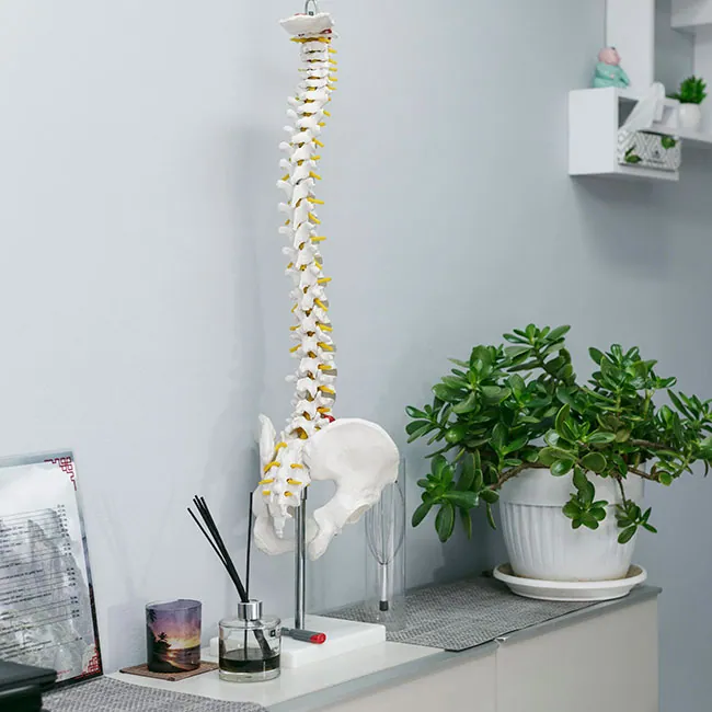 chiropractor fort pierce