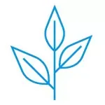 Functional Medicine icon